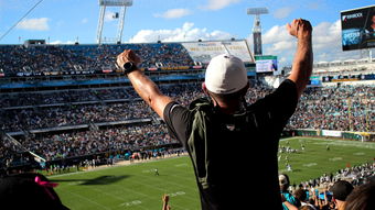 绿茵场上的画卷,足球球场图片的魅力与影响 绿茵场上的画卷,足球球场图片的魅力与影响