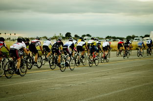 探索运动的多彩世界，运动项目的类型及其魅力