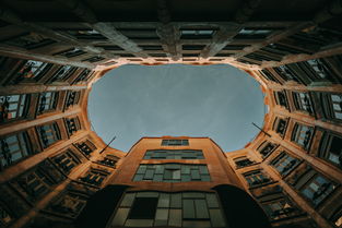 探索运动的多彩世界，运动项目名称大揭秘