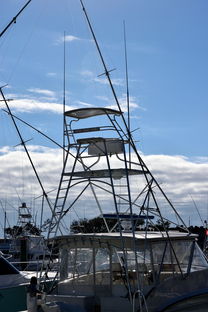 探索运动世界的桥梁,50个运动项目中英文对照指南 探索运动世界的桥梁,50个运动项目中英文对照指南