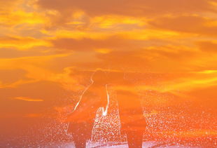 巴黎奥运会,激情与梦想的回放 2024年夏季奥运会精彩瞬间 巴黎奥运会,激情与梦想的回放 2024年夏季奥运会精彩瞬间