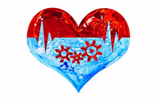 全国的运动热潮,激发活力,促进健康 全国的运动热潮,激发活力,促进健康