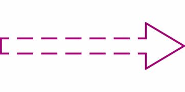 跃动的笔触，体育作文素材的活力与魅力