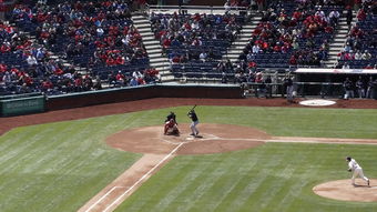 探索体育图案大全,运动精神的视觉盛宴 探索体育图案大全,运动精神的视觉盛宴