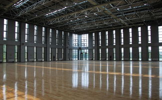 体育馆,多功能的体育与娱乐中心 体育馆,多功能的体育与娱乐中心