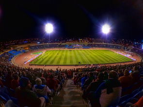 绿茵场上的较量，中国足球队与沙特队的对决分析