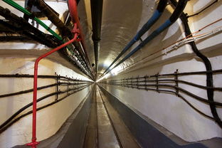 军事凤凰网最新动态,揭秘现代战争的脉搏 军事凤凰网最新动态,揭秘现代战争的脉搏