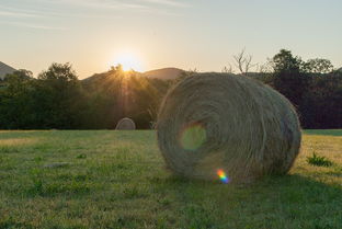 探索英语中的场地,Field的多维应用与文化意义 探索英语中的场地,Field的多维应用与文化意义
