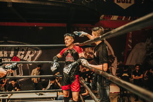 拳魂觉醒咪咕快游版，探索移动游戏世界的格斗艺术