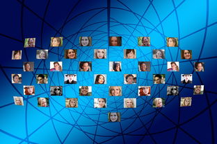 奥运会的辉煌时刻,新闻摘抄与深度解析 奥运会的辉煌时刻,新闻摘抄与深度解析