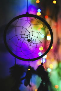 足球精彩瞬间，捕捉绿茵场上的激情与艺术