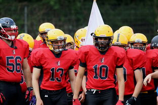 足球女神的风采，如何用足球图片打造个性化头像