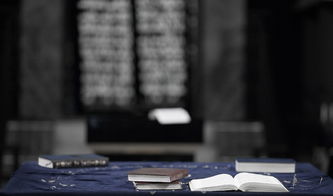 潘展乐,探索精神的力量与生活的艺术 潘展乐,探索精神的力量与生活的艺术