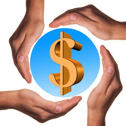 全面解析，运动品质的构成要素及提升策略