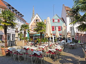 金陵体育，活力之城的心跳