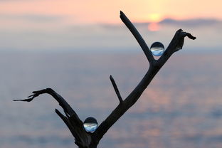 体育精神,竞技场上的不灭之火 体育精神,竞技场上的不灭之火