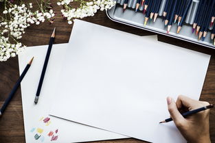 文化墙布置的艺术，打造独特空间，传承文化精髓