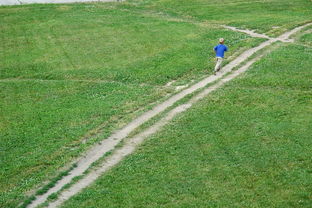 绿茵场上的征程,中国男足比赛赛程全解析 绿茵场上的征程,中国男足比赛赛程全解析