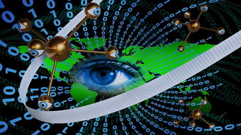 探索足球的数字世界，FIFA官方中文网址的奥秘