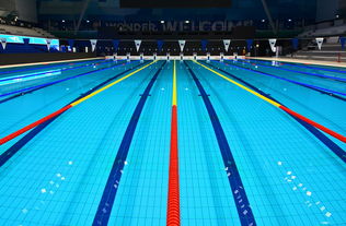 星空下的竞技场，探索综合体育的魅力与未来