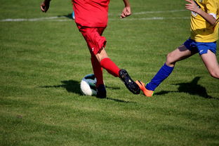 足球魅力，一笔勾勒，足球图片简笔画的艺术与乐趣