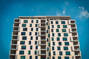 荣耀与挑战,回顾中国男足排名最高时刻及其背后的启示 荣耀与挑战,回顾中国男足排名最高时刻及其背后的启示