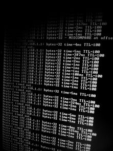 揭秘大乐透号码预测，科学方法与迷信之间的界限