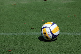 小学生体育项目,激发活力,培养兴趣 小学生体育项目,激发活力,培养兴趣