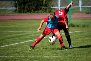 健身俱乐部经营与管理,打造活力四射的健身帝国 健身俱乐部经营与管理,打造活力四射的健身帝国