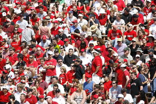 跃动生活,尽在掌中,下载OD体育,开启您的运动新纪元 跃动生活,尽在掌中,下载OD体育,开启您的运动新纪元