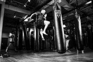 解锁健身之门,掌握Gym的正确拼写 解锁健身之门,掌握Gym的正确拼写