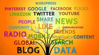 掌握新闻写作技巧,初二学生的新闻消息范文解析 掌握新闻写作技巧,初二学生的新闻消息范文解析