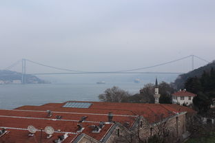 搜狐网体育,连接体育迷与赛事的桥梁 搜狐网体育,连接体育迷与赛事的桥梁