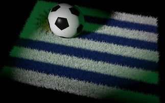 巴西2022年世界杯,桑巴足球的荣耀回归与挑战 巴西2022年世界杯,桑巴足球的荣耀回归与挑战