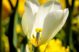 激励人心的体育名言,十句经典话语的力量 激励人心的体育名言,十句经典话语的力量