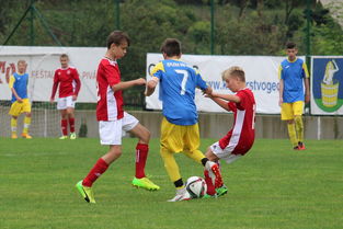 中国足球的希望之光,深入解析中国足协43个青训中心的布局与未来 中国足球的希望之光,深入解析中国足协43个青训中心的布局与未来