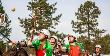 足球爱好者的新宠,新浪动态澳彩足球盘,让比赛更精彩! 足球爱好者的新宠,新浪动态澳彩足球盘,让比赛更精彩!