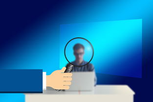 足球交易量,洞察市场动态与预测比赛结果的关键指标 足球交易量,洞察市场动态与预测比赛结果的关键指标