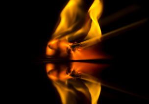 激情四射，如何用简短文案点燃看球赛的热情