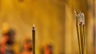 传承与发扬，成语中的体育精神