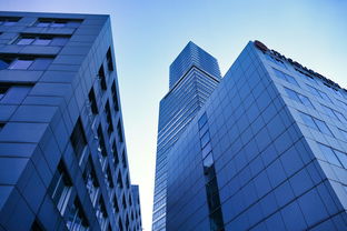 搜狐体育，数字化时代的体育媒体变革与未来趋势