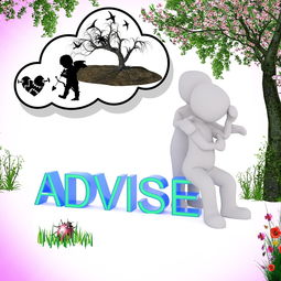 探索伤心蜜蜂的英语世界,情感与语言的交织 探索伤心蜜蜂的英语世界,情感与语言的交织