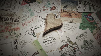 英语中的禁忌词汇，了解、避免与智慧应对