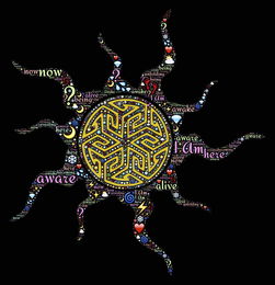 深入体育球探的世界，发现明日之星的秘密