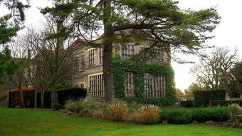 探索公园的魅力，如何通过日常访问提升生活质量