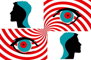 掌握英语表达，如何用英语表达我也喜欢