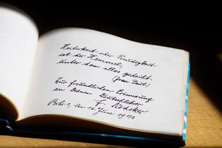 探索语言的广阔天地,我的学校很大的英语 探索语言的广阔天地,我的学校很大的英语