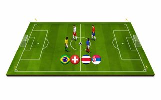 探索体育运动的多样性,全球体育运动项目概览 探索体育运动的多样性,全球体育运动项目概览