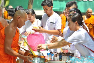 国内足球年薪，绿茵场上的金球与梦想