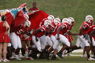 活力四射,探索适合小学生的体育项目 活力四射,探索适合小学生的体育项目